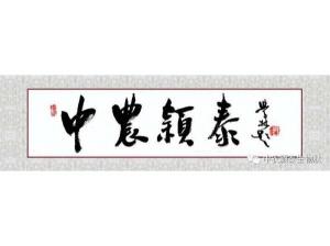 2021年：工作動(dòng)態(tài)，中農(nóng)穎泰工會順利換屆