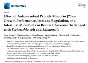 腸桿菌肽對(duì)大腸桿菌和沙門(mén)氏菌攻毒條件下肉雞生長(zhǎng)性能、免疫調(diào)節(jié)和腸道菌群的影響