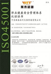 職業(yè)健康安全管理體系認(rèn)證證書(shū)
